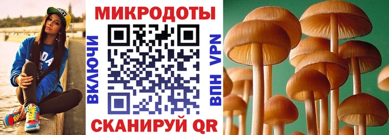 Галлюциногенные грибы Cubensis  Мыски 