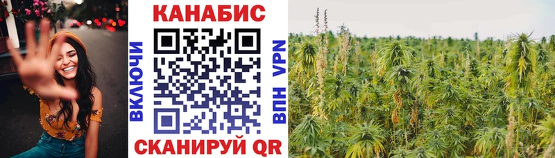 Марихуана White Widow  сколько стоит  Мыски 